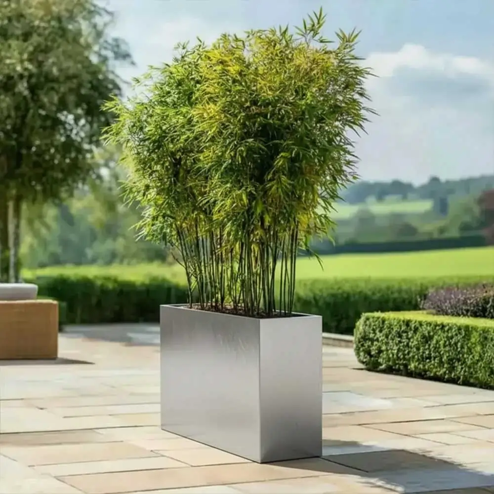 Product image 151