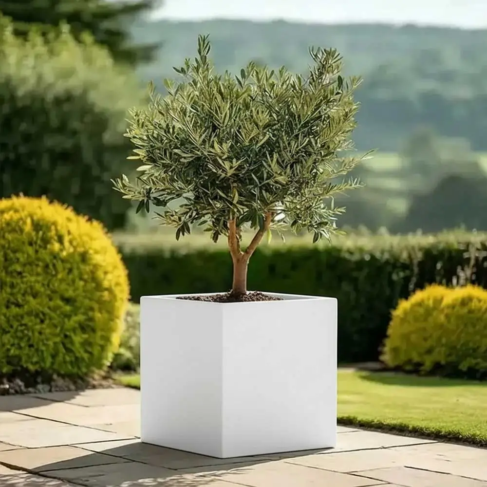 Product image 107