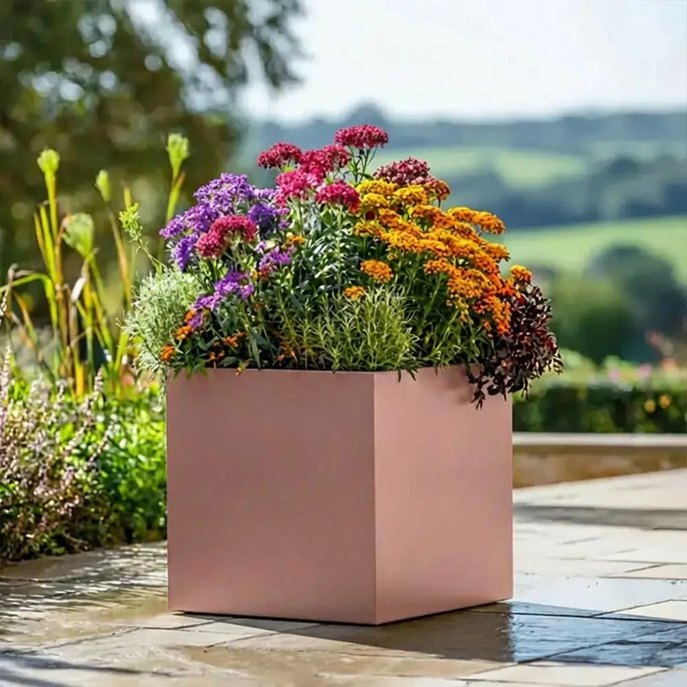 Product image 124