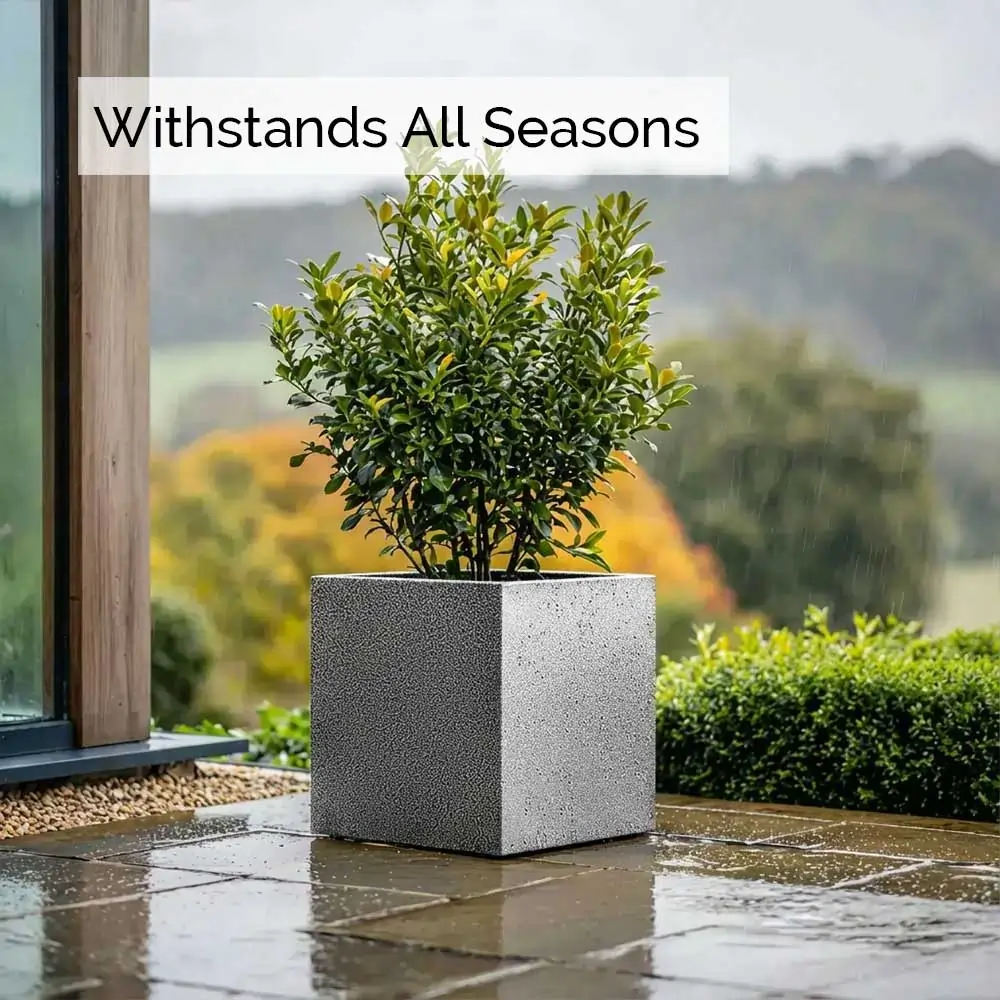 Product image 165