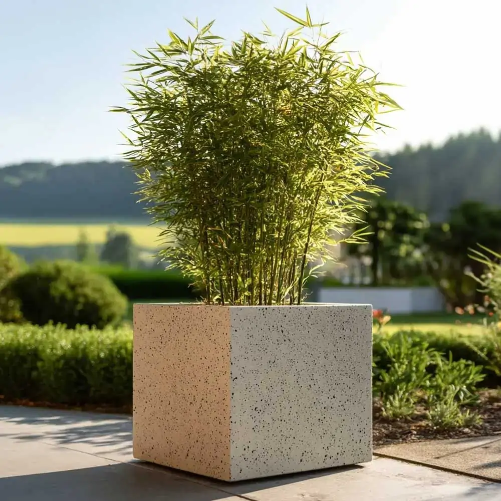 Product image 179