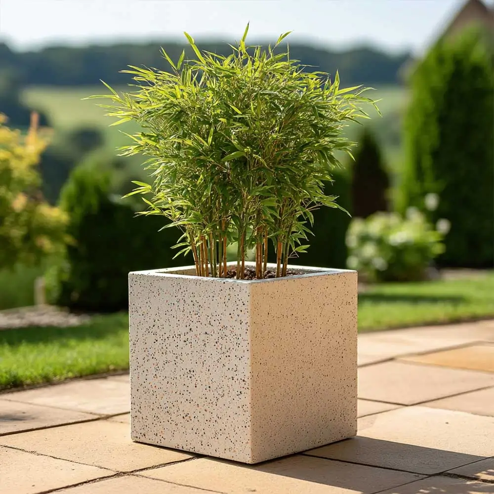 Product image 180
