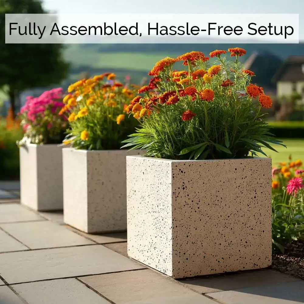 Product image 185