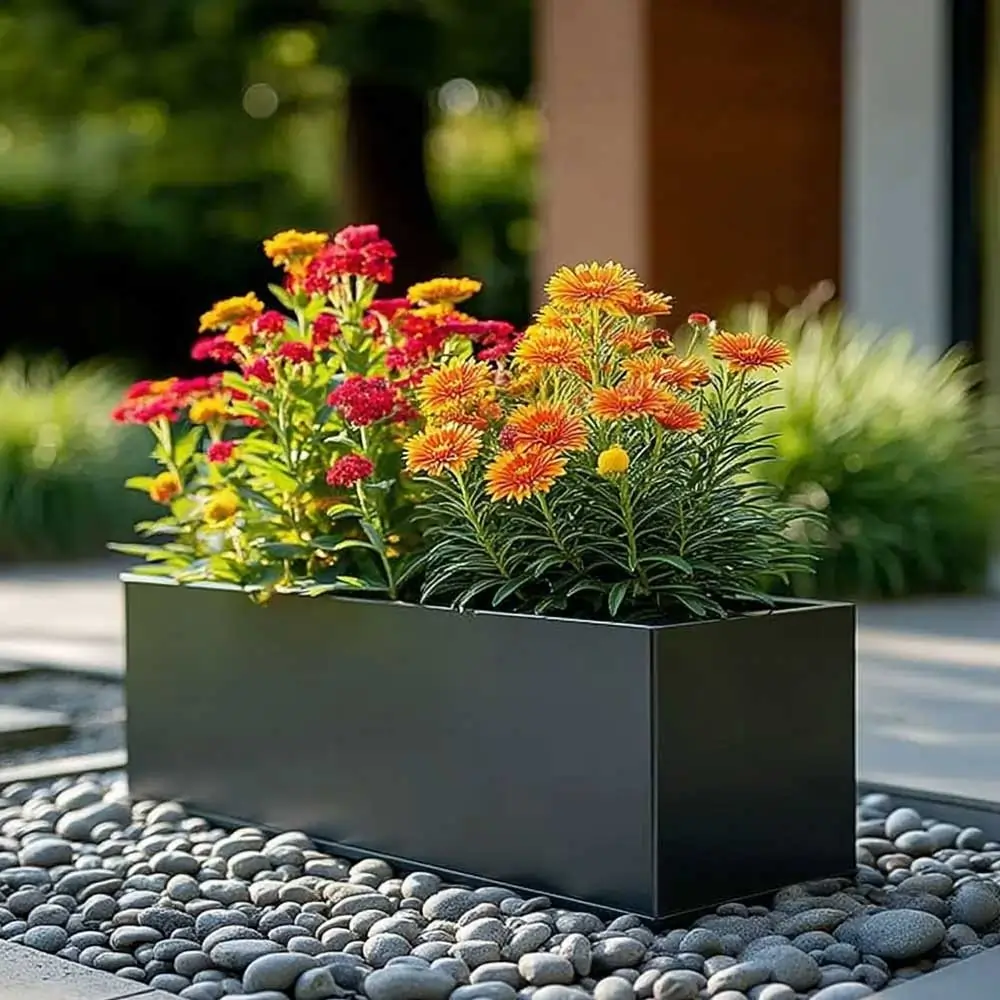 Product image 100