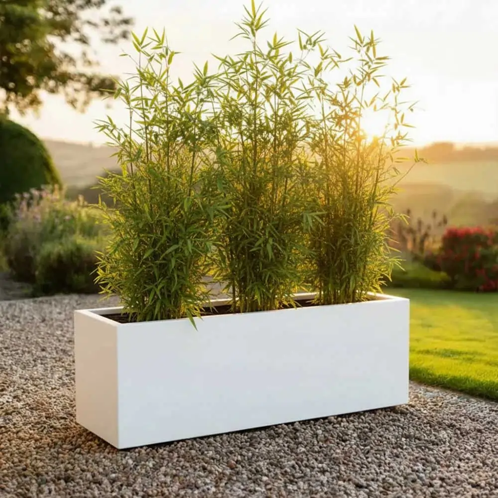 Product image 115