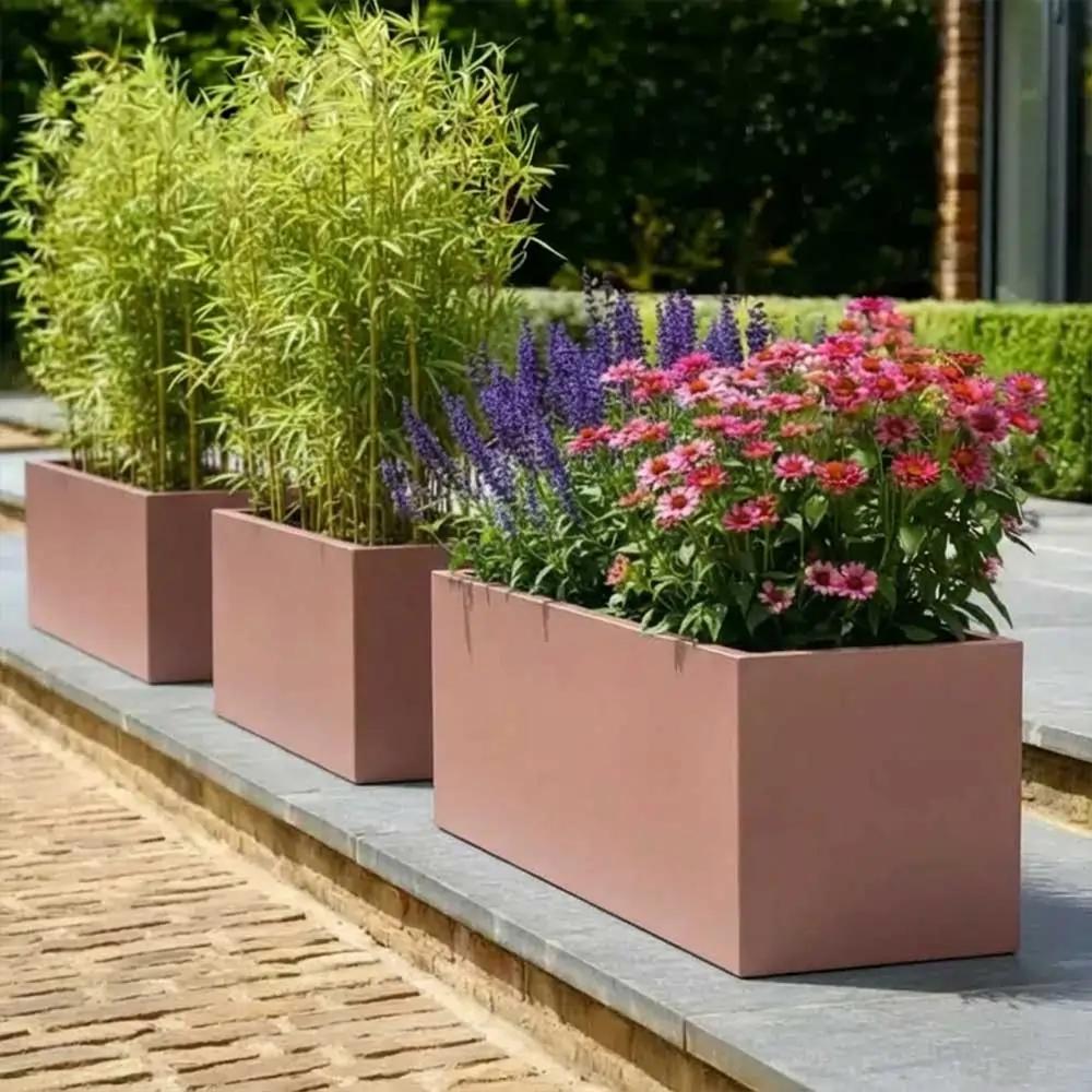 Product image 123